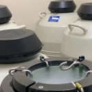 胚・精子・卵子 凍結延長/破棄